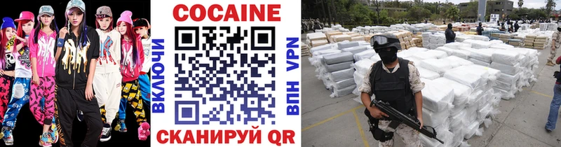 как найти   Каменногорск  COCAIN FishScale 