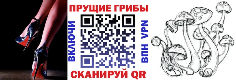 Псилоцибиновые грибы мицелий  Каменногорск 